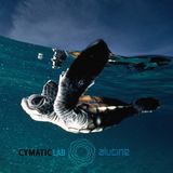 Alucine - Floating Time