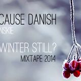 IS IT WINTER STILL? MIXTAPE 2014