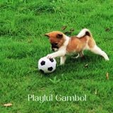 057 - Playful Gambol