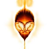 2 Teck mix express a servir chaud