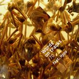 Words On Tracks /70 feat. Hypo