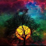 Audio Wonderland - 1-26-14