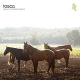 TOSCA MIXED
