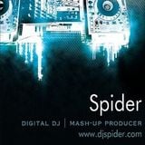 Spider's Mash-Up Mix 2013