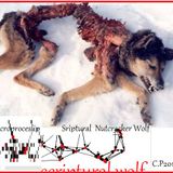 Scriptural Wolf Nutracker Except