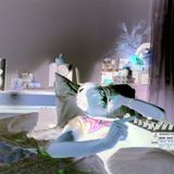 DJ Vinyl Morning in the bilding (Home mix)