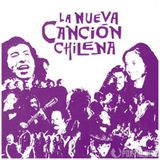 M.L. 11-23-2013 con la gata. musica de Chile, nueva cancion, musica andina