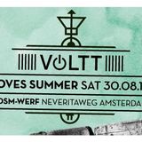 Michael Mayer @ Voltt Loves Summer Festival 30-08-2014