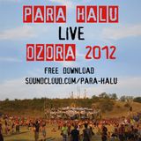 Para Halu - Live at Ozora 2012