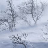 David Armada Mix Session - The winter wind blows