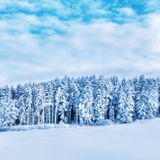 Ep23 - Winter is coming