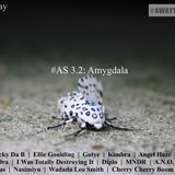 #AS3.2: Amygdala
