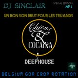 DJ SINCLAIR AF1 --UN BON SON BRUTE POUR LES TRUANDS-- Finest tech deep after clubbing selection