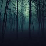 FNWL - A Walk In The Dark