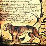 Burning Bright - The Poet and the Prophet 3. Tamsin Rosewell explores the work of William Blake.