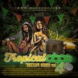 Tropical Dope Mixtape (vol.4)