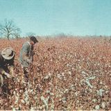 country blues