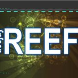 reggueton mix dj reef