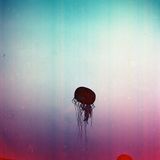 Apophenia (Type I error compilation)