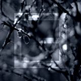 Tehnofonika POD003 - Alex Humann