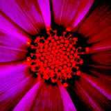 COSMO GARDEN DJ Mix