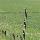 Maison de l'environnemnt (les abeilles) - les échelles perchoirs projet artistique et ecologique