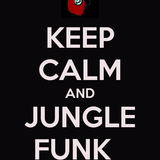 Dj Hennessy Pres Jungle funk 002 Part 2