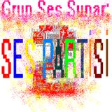 Ses Partisi 02