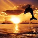 sunsets mix by dj erol dervis