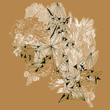 Harvest/Disperse by Phoebe Kiddo