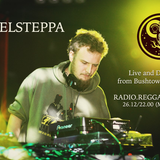 Rebelsteppa outa Bushtown Studio 26.12.13