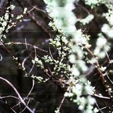 Irish Ambient Mix - May 2010