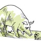 A RATOEIRA