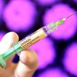 HPV Update with Anna Watson