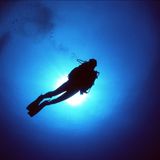 Tales Of An Experienced Diver