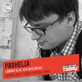 Parhelia - Drum & Bass Today Special #008