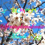 Trickymoment - Springbreakmix (March 2015)