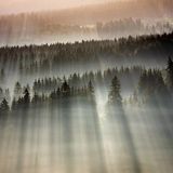 Schlager - Spring Air