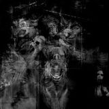 Into the Darkness - Crossbreed / Hardcore 2014 (Mixed by MDeeper)