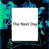 Culture Shock: The Next Day (February 2013)