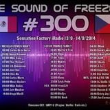 DJ BECK - THE SOUND OF FREEZER 300