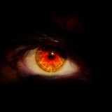 Techno? I Say Techyes! 4