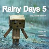 Rainy Days 5: A Liquid DnB Session