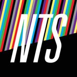 NTS - 02/10/13