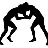 Wrestling - Sterling (28) at Platte Valley (51) - 2-4-16