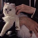 The B.A.G - 24 . 04 . 2014 - Get Piggy Reco(rds?) w/ Ernst Stavro Blofeld