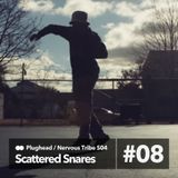 NTR S04E08 - Scattered Snares