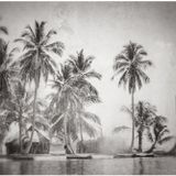 Do You Want to Live in Tropics