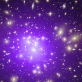 The Purple Mix
