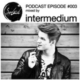 Podcast Episode #003 mixed by Intermedium